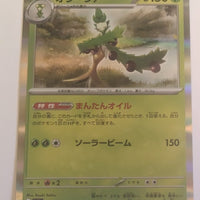 sv4a Japanese Shiny Treasure Ex  - 017/190 Arboliva Holo